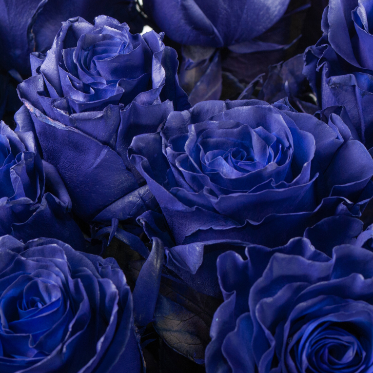 Букет 25 роз Синее озеро