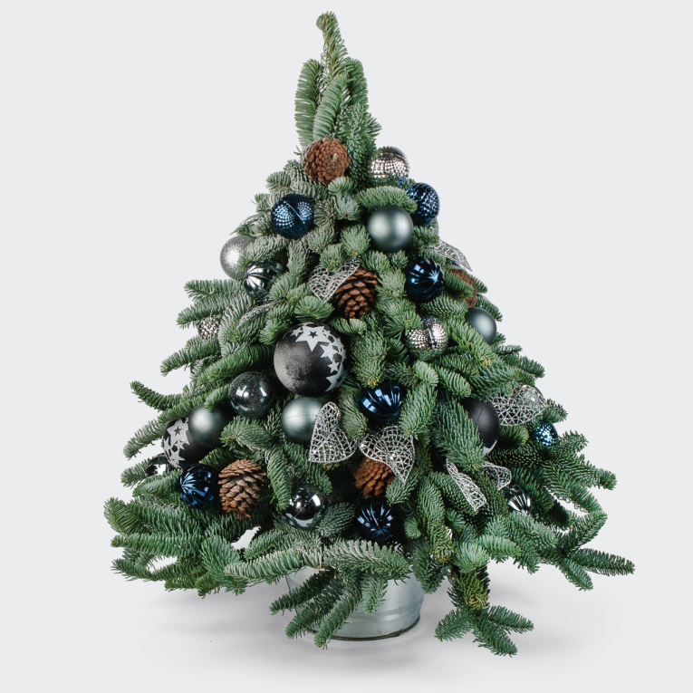 Композиция Поцелуй зимы