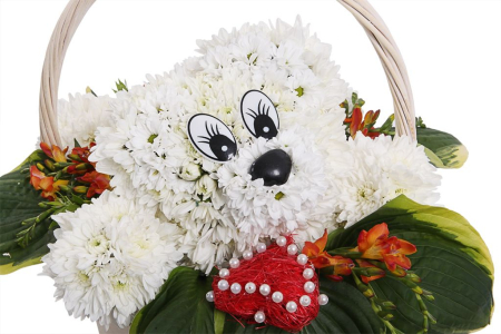 Медведь с сердцем