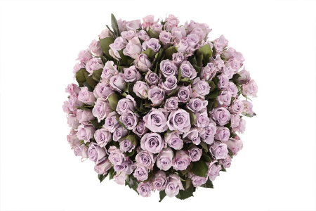 Букет Песнь Океана (101 роза)