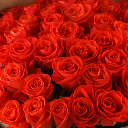 Букет 51 роза Все начинается с любви