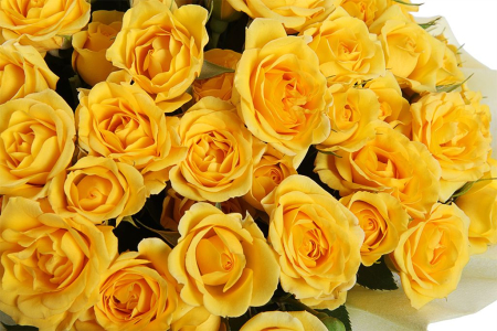 Букет Дары Гелиоса