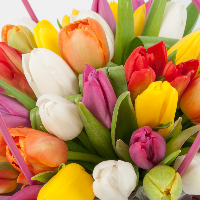 Тюльпаны в коробке Радужное настроение (35 шт)