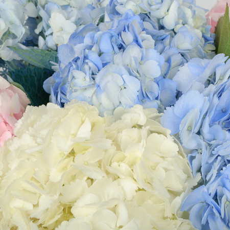 Букет 7 гортензий Цветочные облака