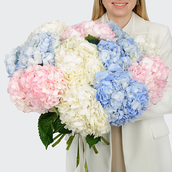 Букет 11 гортензий Цветочные облака
