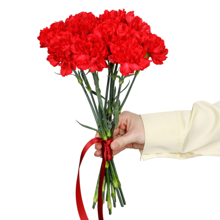 Букет Красный октябрь (10 гвоздик)