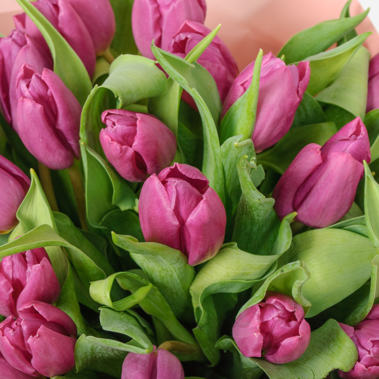 Букет из 25 тюльпанов Весенняя дымка