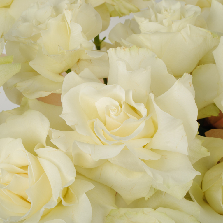 Букет в коробке Тихая река (15 роз)