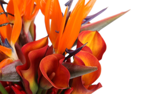 Букет с каллами Пламя далекой звезды