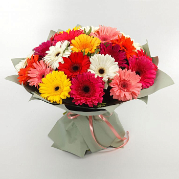 Букет с герберами Яркий комплимент (23 шт) + Десерт в ПОДАРОК!