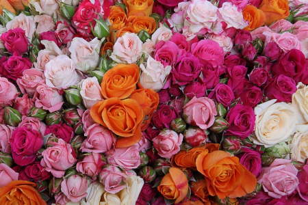 Букет 301 поцелуй