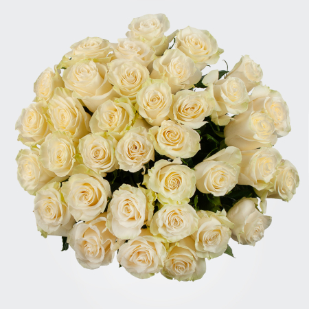 Букет 35 роз Мондиаль