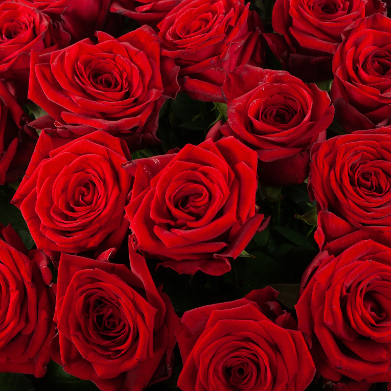 Букет в корзине Голос любви (251 роза)