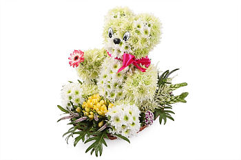 Большой медведь Большой медведь