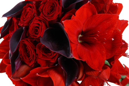 Букет с гиппеаструмами Цветочек аленький