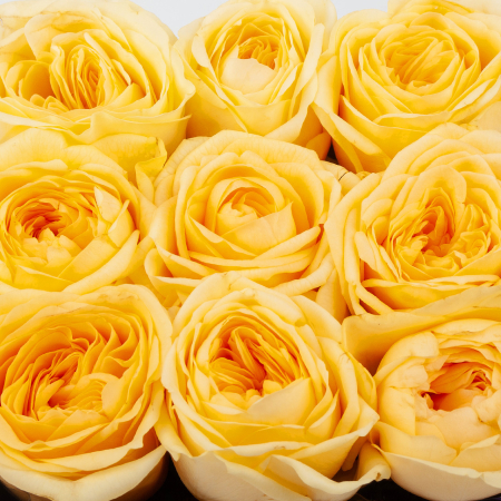 Розы в коробке Лимонная любовь