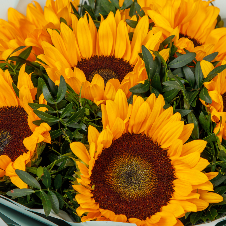 Букет с подсолнухами Солнечный карнавал