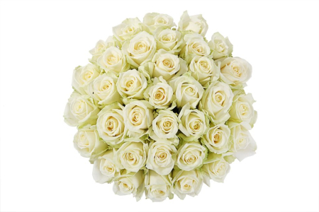 Букет 35 роз Аваланш в шляпной коробке