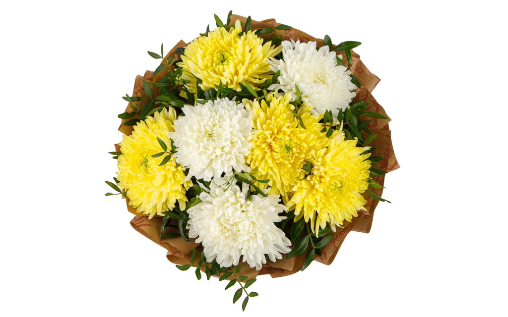 Букет Утренняя прохлада (7 хризантем микс)