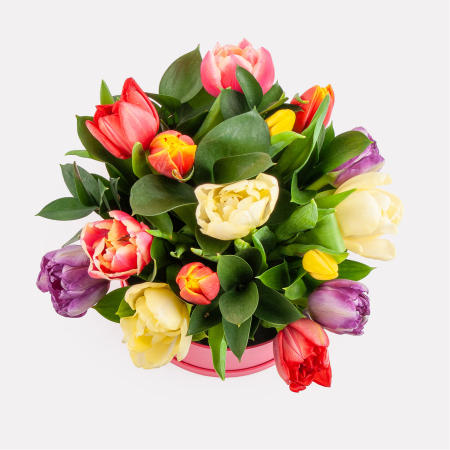 Букет в коробке Девушки весной (15 тюльпанов)