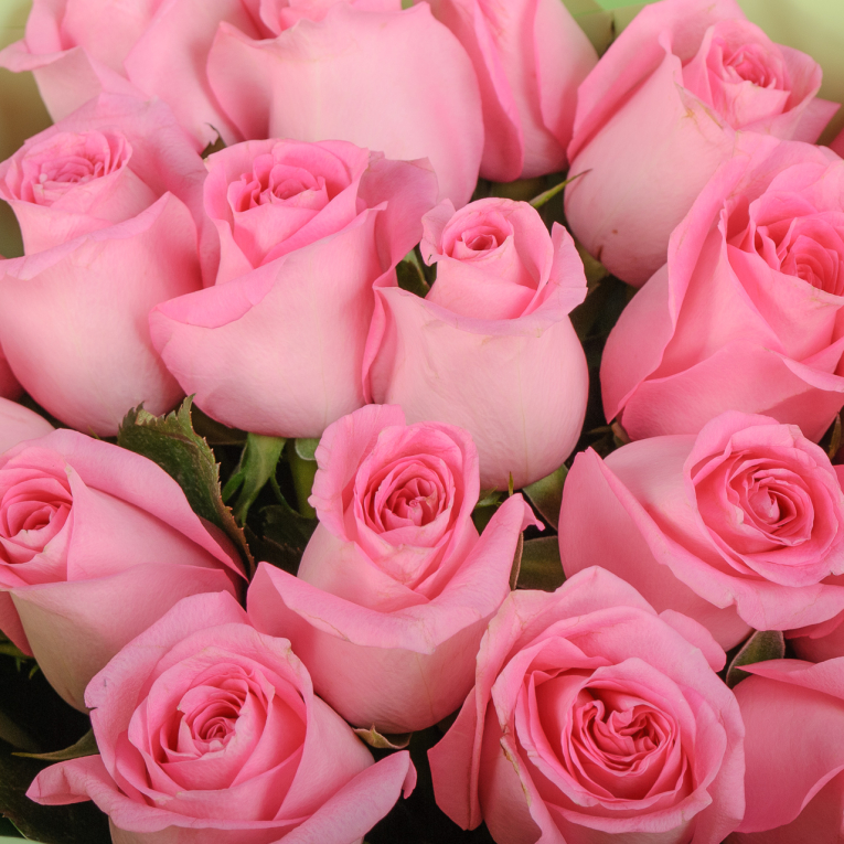 Букет из 19 роз Сердце ангела