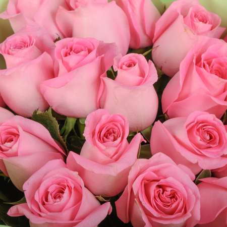 Букет из 19 роз Сердце ангела