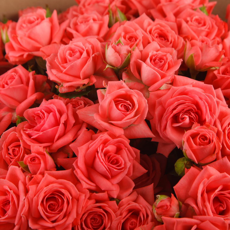 Букет кустовых роз Стихи о любви