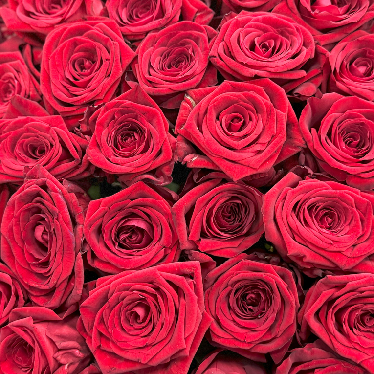 Букет 501 роза в корзине