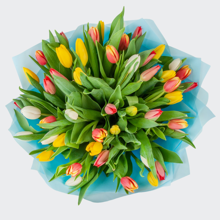 Букет 51 тюльпан Лучики солнца
