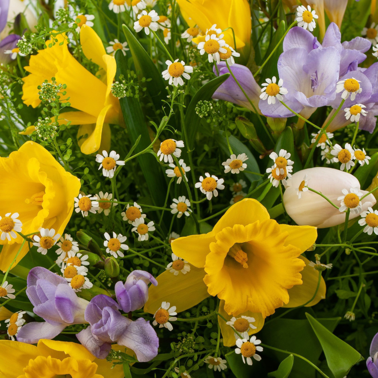 Букет Весенняя пора