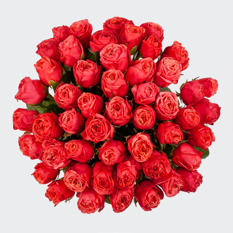 Букет 51 роза Клубничный пунш