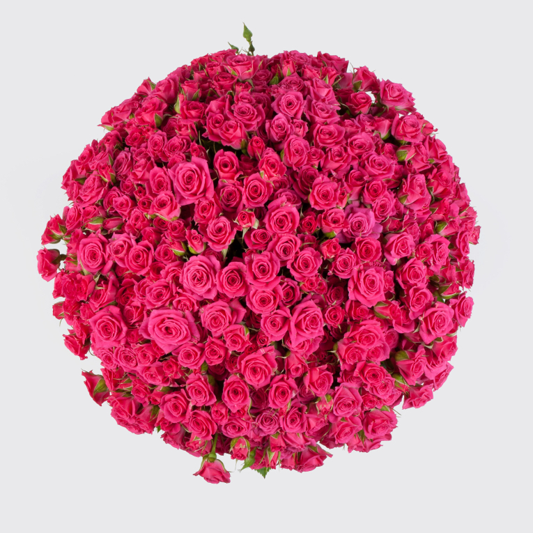 Букет в коробке Первая красавица (101 роза)
