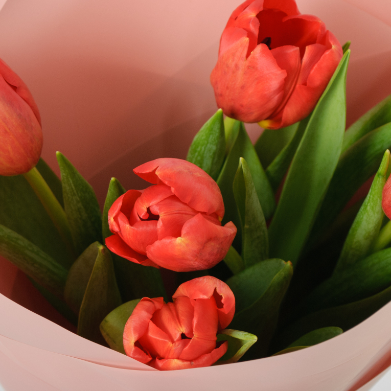 Букет 7 красных тюльпанов