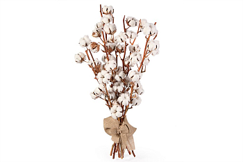 Букет из хлопка Снежки