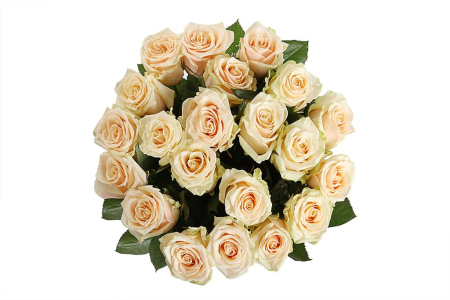 Букет 21 роза Талея