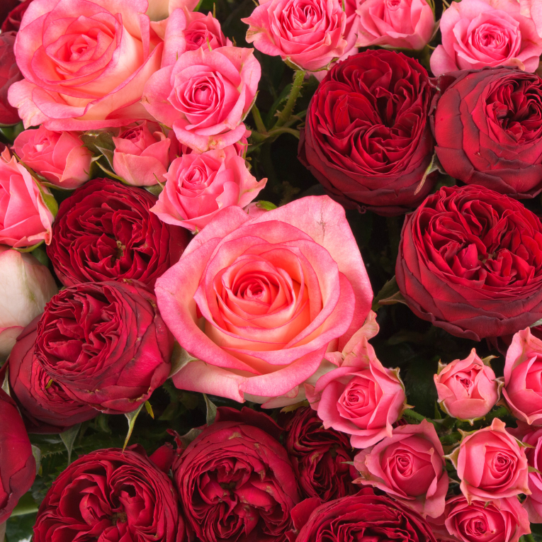 Букет из 51 розы Сезон страсти