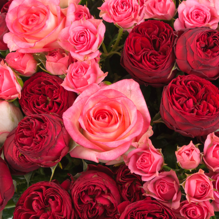 Букет из 51 розы Сезон страсти