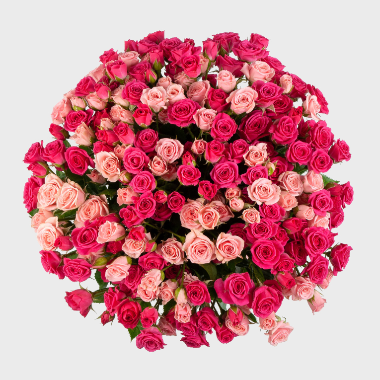 Букет из 51 розы Розовая Венера