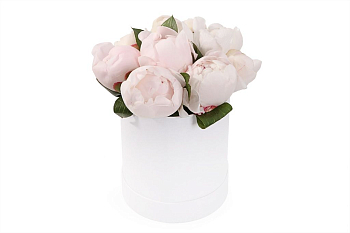 Букет 9 пионов в шляпной коробке