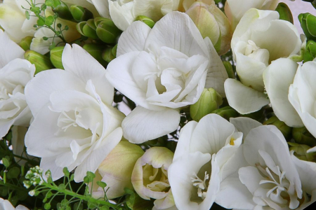 Букет с фрезиями Волшебная страна