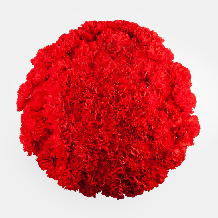 Букет 51 гвоздика