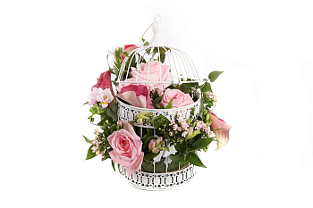 Композиция Плененный тобой