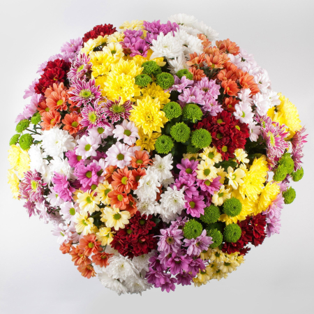 Букет 51 кустовая хризантема + Десерт в ПОДАРОК!