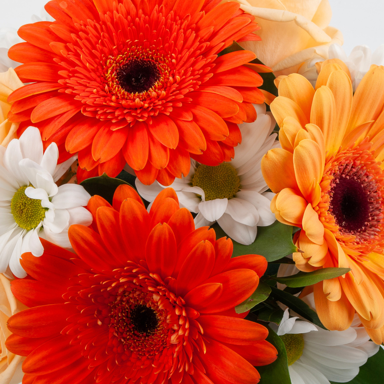 Композиция в кашпо Солнечный путь