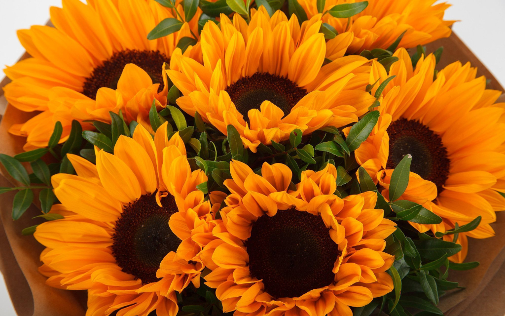 Букет с подсолнухами Солнечное лето + торт «Наполеон» (300 г)