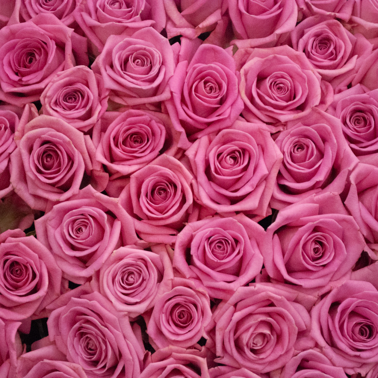 Букет 1001 роза Аква в корзине