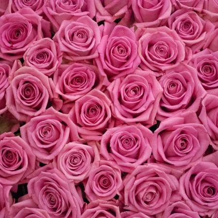 Букет 1001 роза Аква в корзине