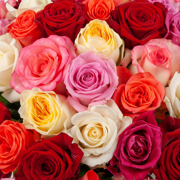 Букет в розовой коробке Ночной зефир (51 роза)