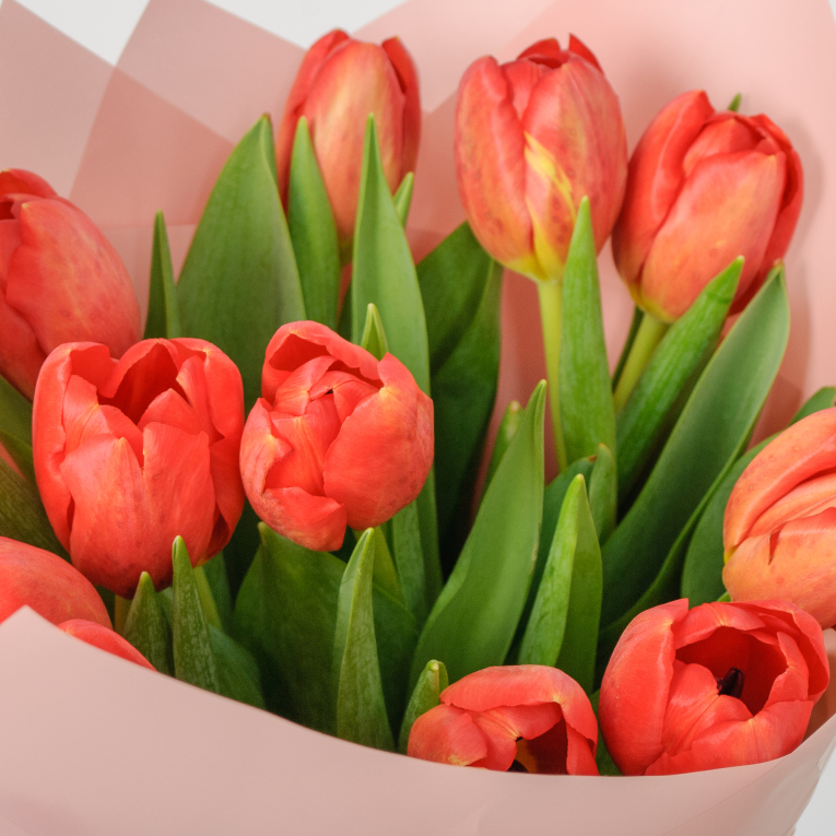 Букет 11 красных тюльпанов