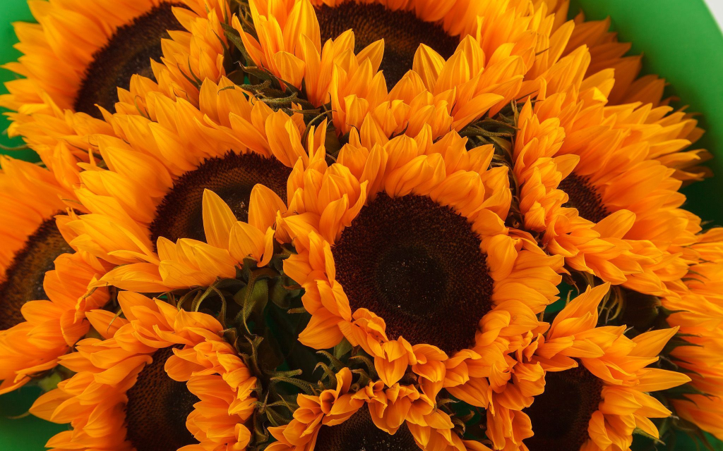 Букет 11 подсолнухов в фоамиране